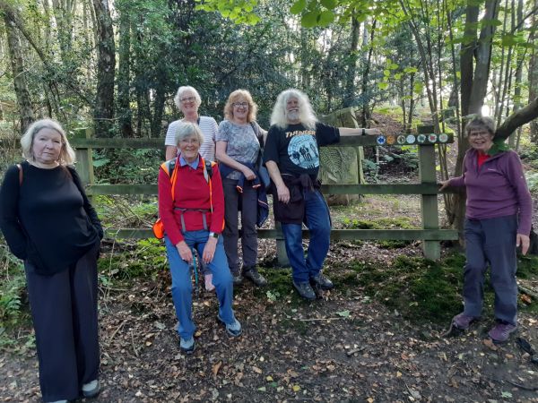 A group of walkers